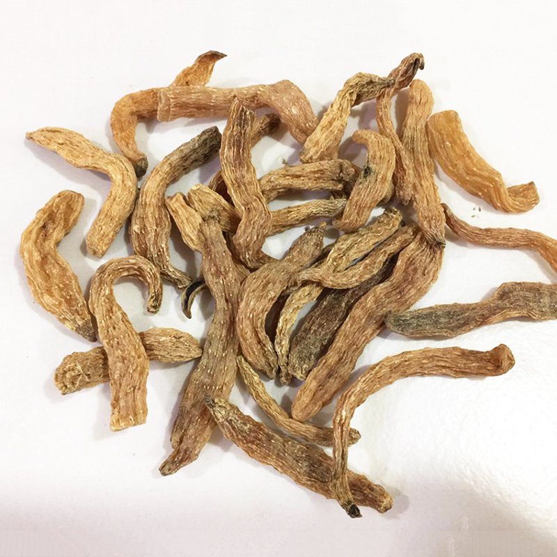 乌天麻种植技术与市场前景