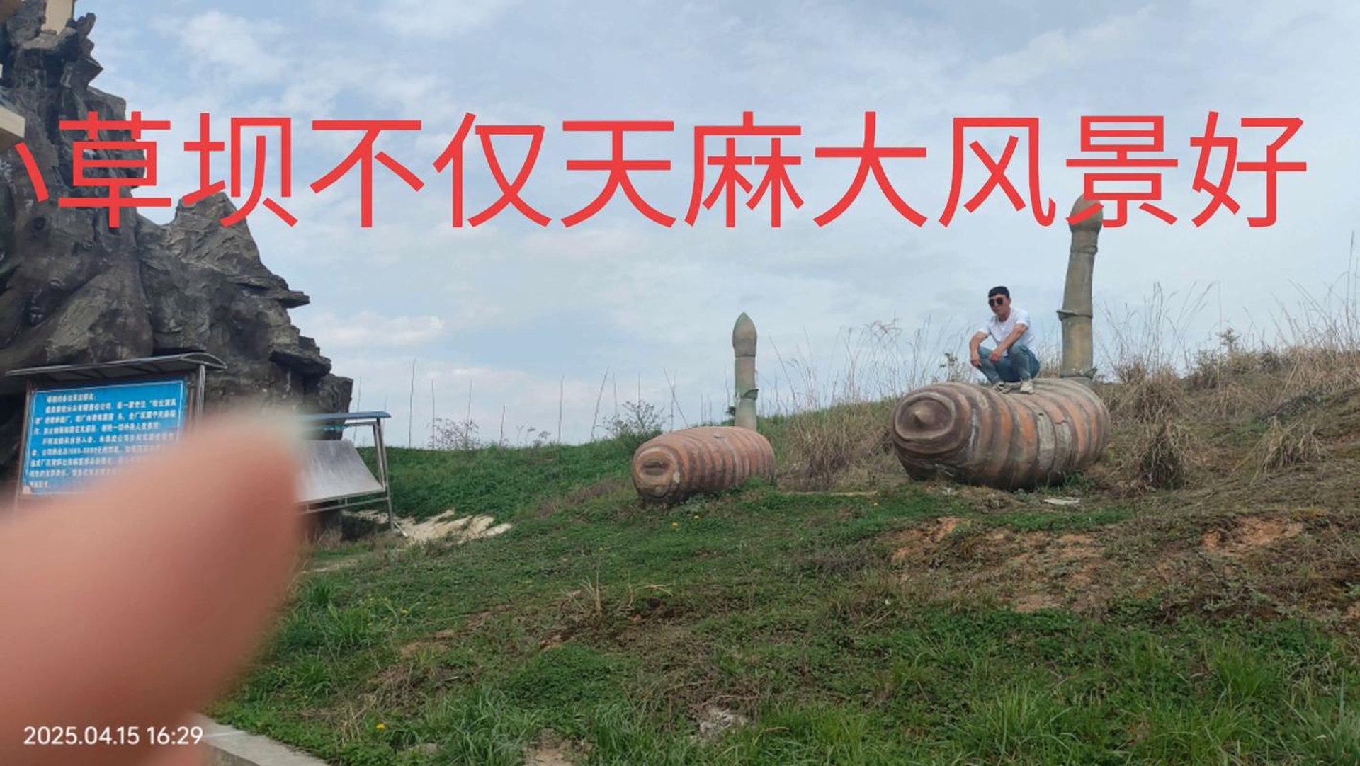 小草坝天麻