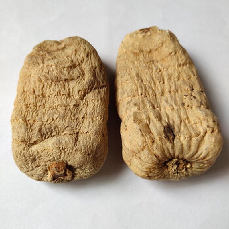 乌天麻种植新趋势：有机与传统对比评测