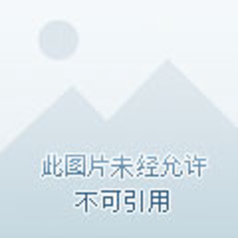 彝良小草坝天麻:自然馈赠的珍贵宝石
